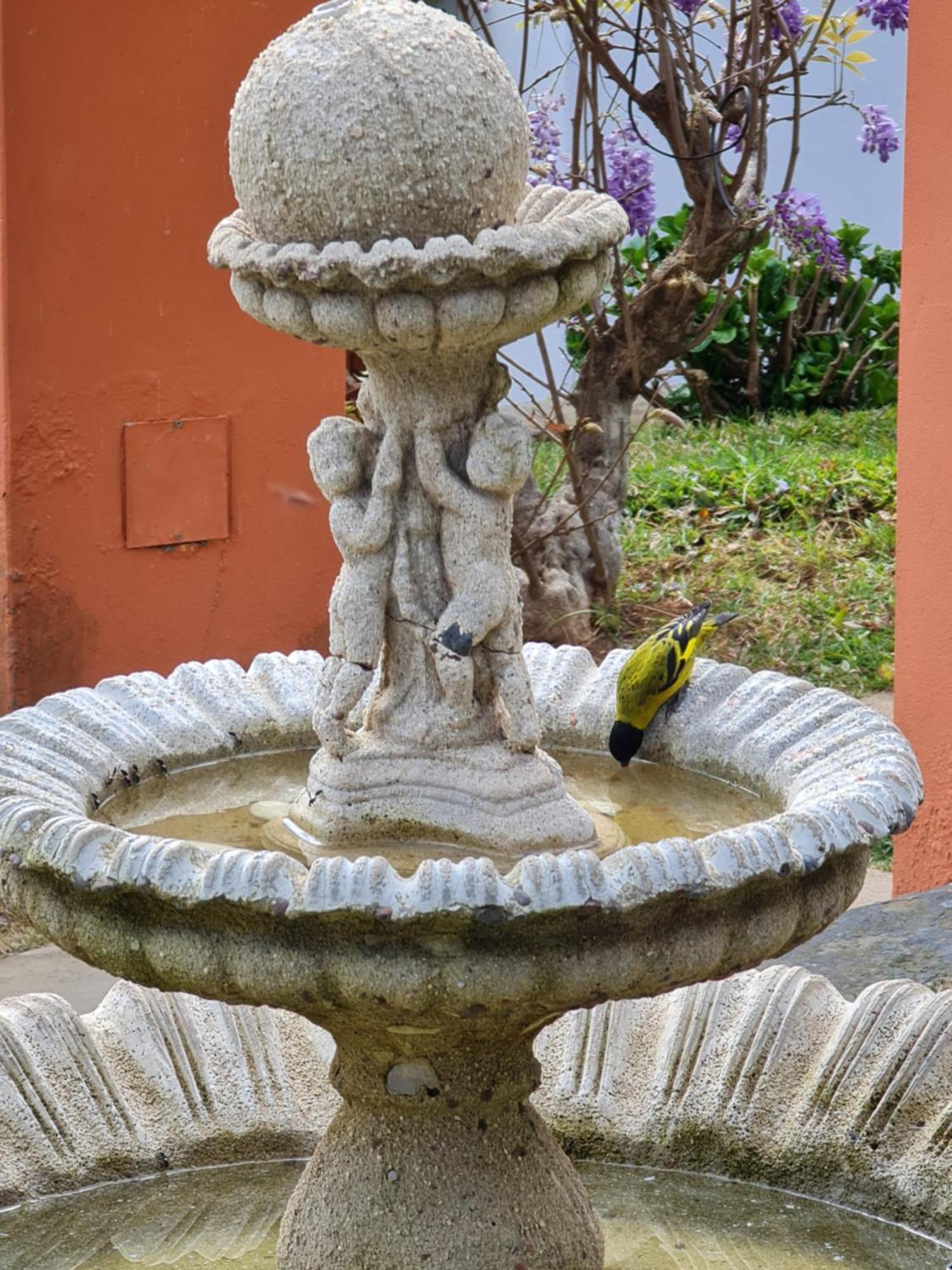 Chales Valle Florido มงชิแวร์จิ ภายนอก รูปภาพ